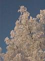 Nature in Finland